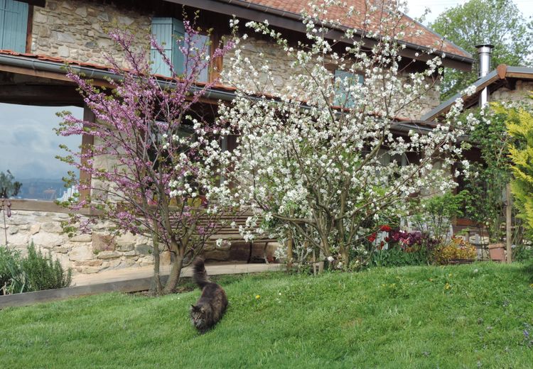 Des photos de la maison de Lucile V.