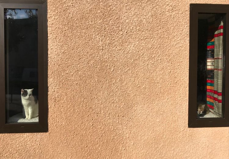 Pictures of Annick G.'s house