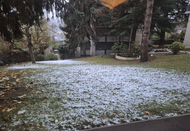 Pictures of KariCas's house