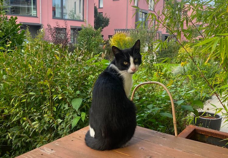 Des photos de la maison de Lisa Q.