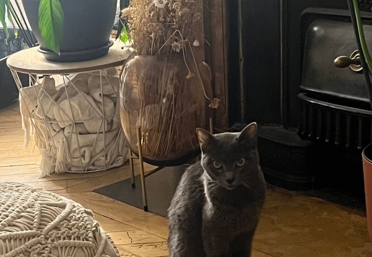 Des photos de la maison de Fanny