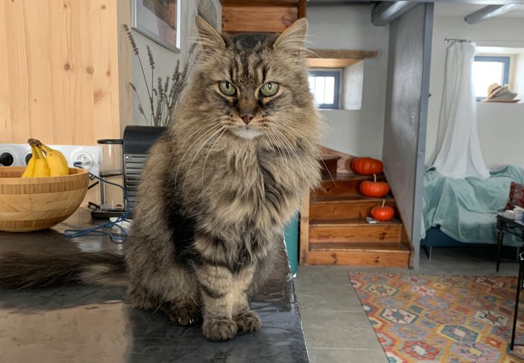 Des photos de la maison de Tessa Z.