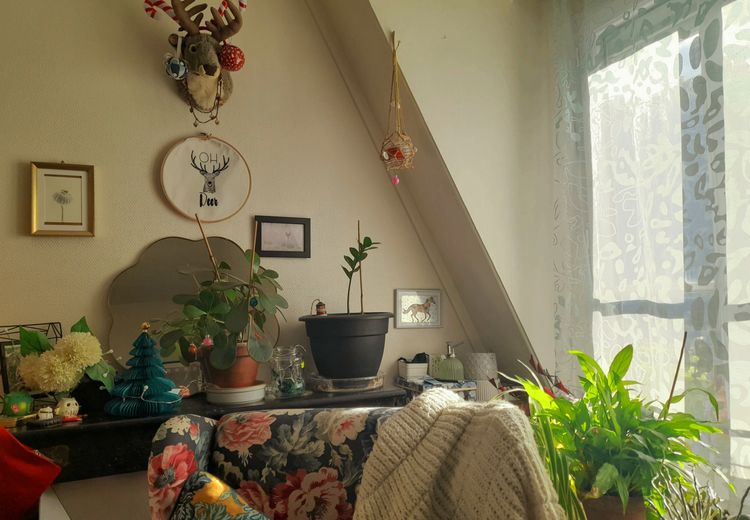 Des photos de la maison de GIEDRE T.