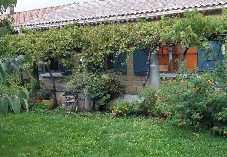 Pictures of Isno's house