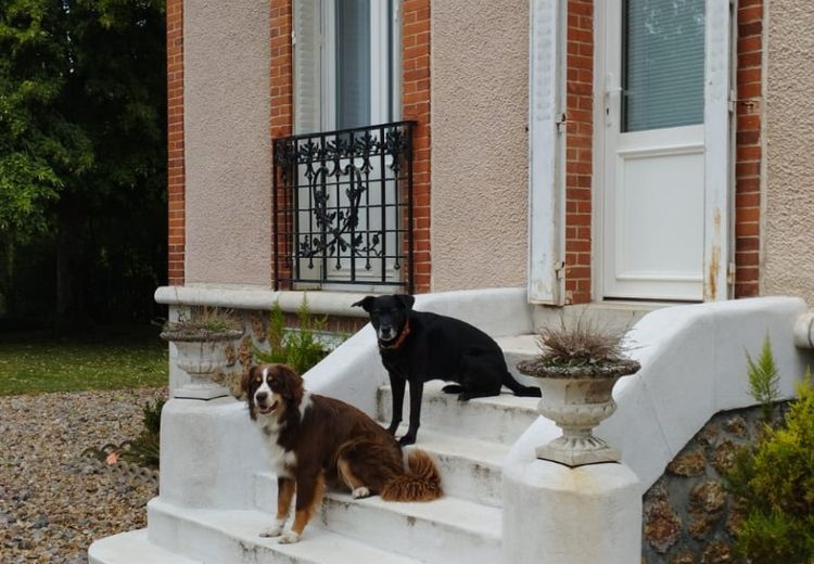 Pictures of Sandra D.'s house
