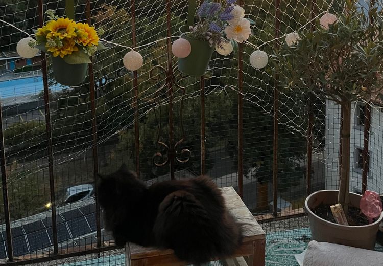 Des photos de la maison de Elisa
