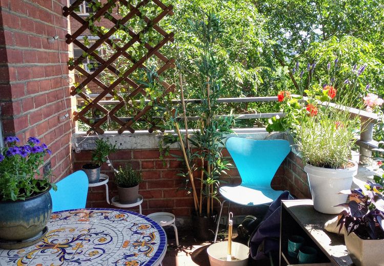 Pictures of Holly F.'s house
