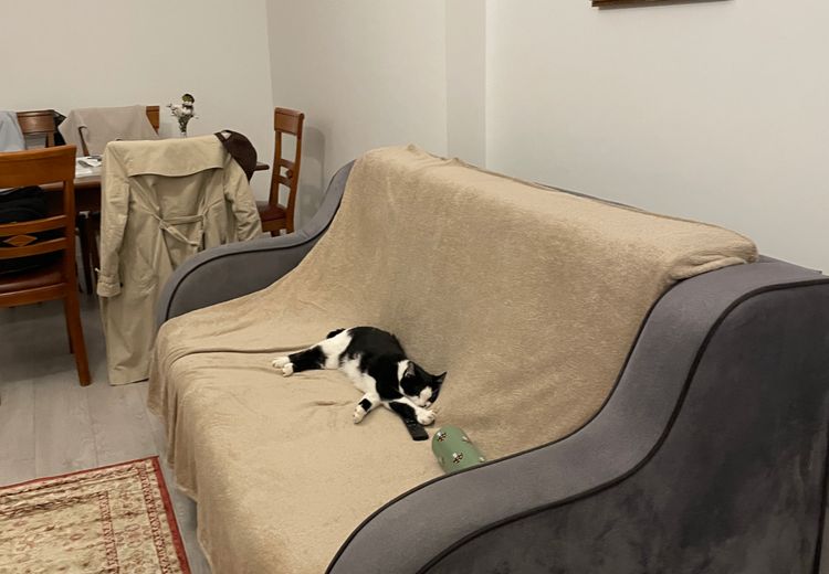 Pictures of Gabrielle's house