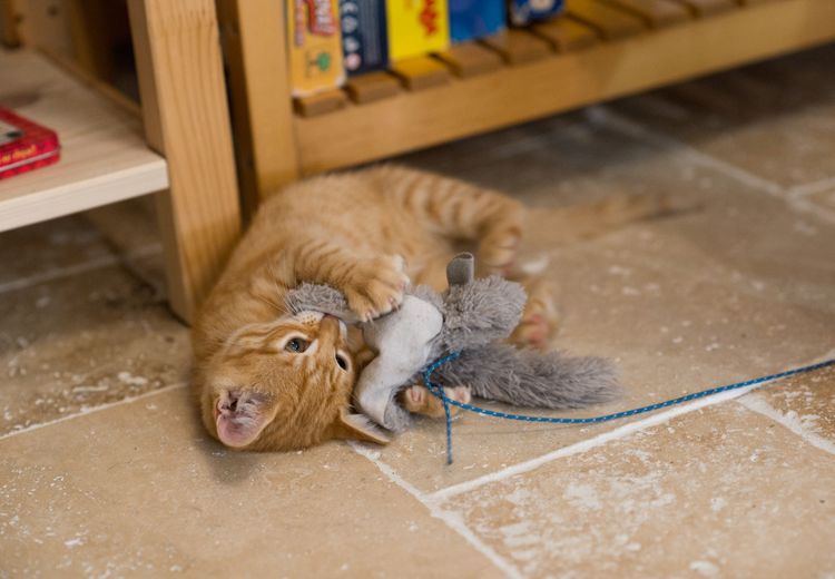 Des photos de la maison de Anaïs et Matthieu