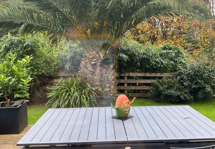 Pictures of Patrick M.'s house