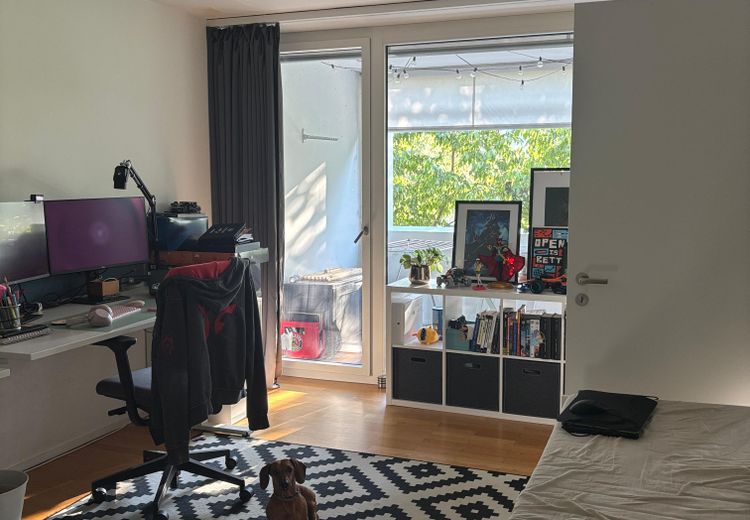 Pictures of Pintxo's house