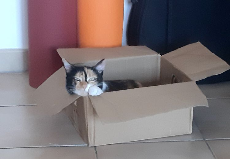 Pictures of Maud's house