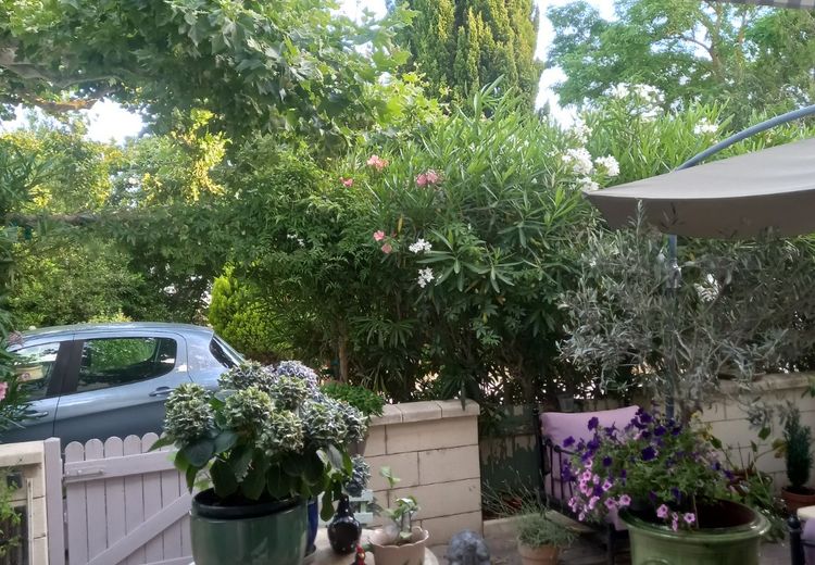 Pictures of Béa's house