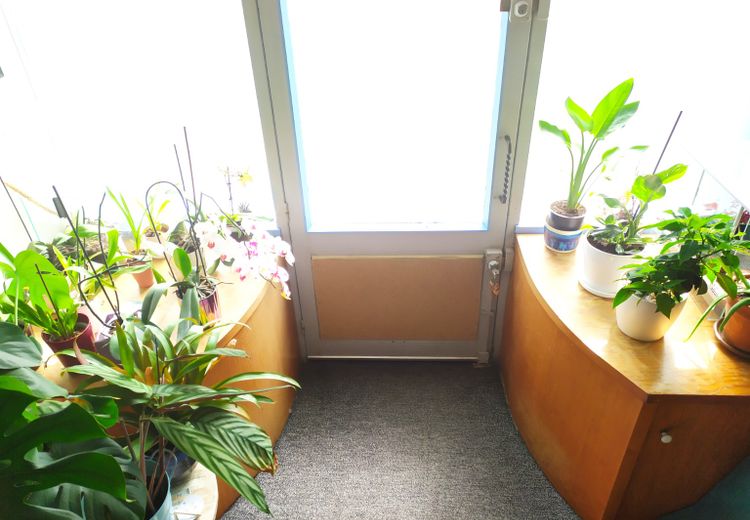 Fotos von Morgane B. Haus