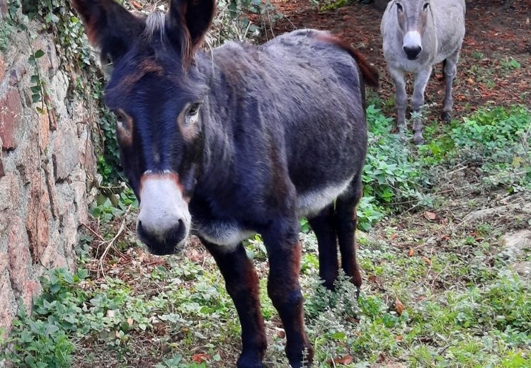 Des photos de la maison de MOUS