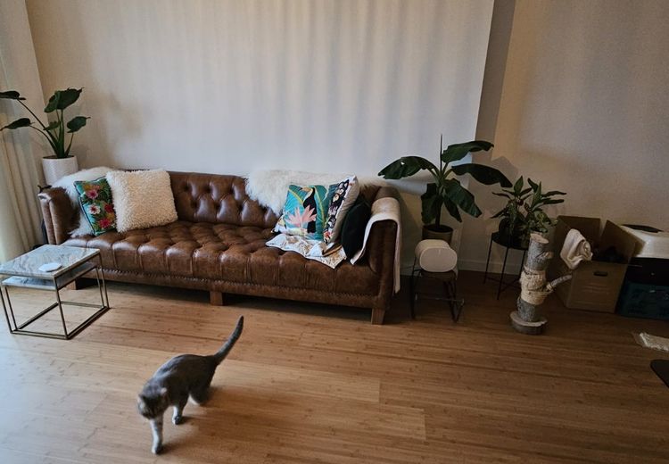 Pictures of Eelkje N.'s house