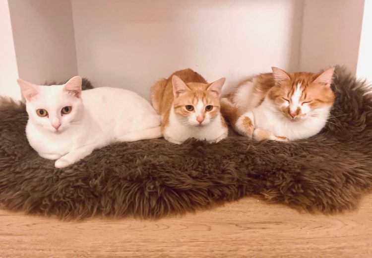 Des photos de la maison de Marija M.