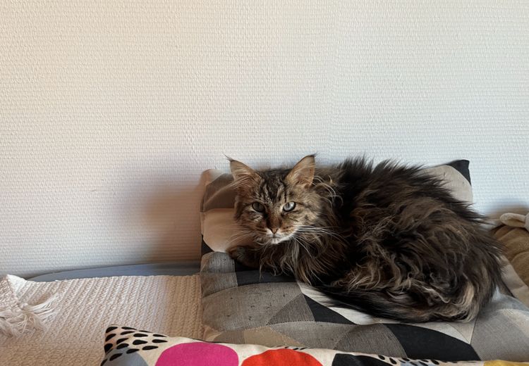 Des photos de la maison de Martinroller