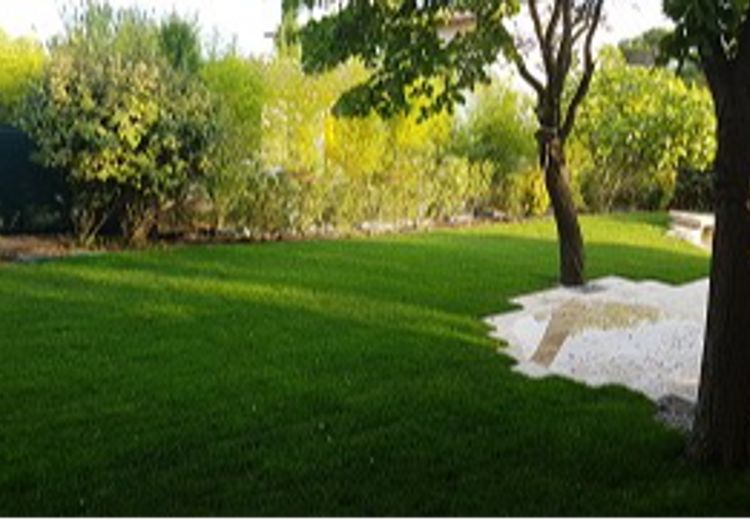 Pictures of Fabienne's house