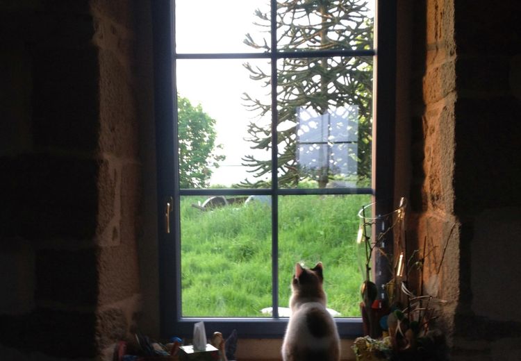 Pictures of Hélène P.'s house
