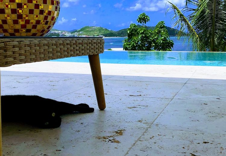Pictures of Kitty B.'s house