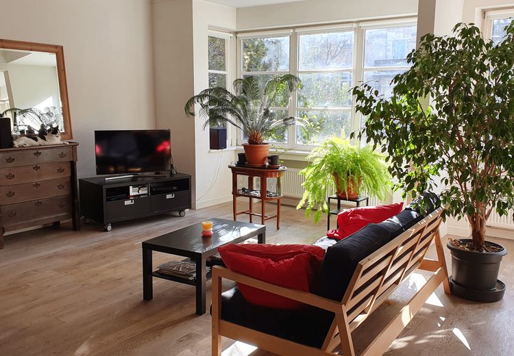 Des photos de la maison de Koen