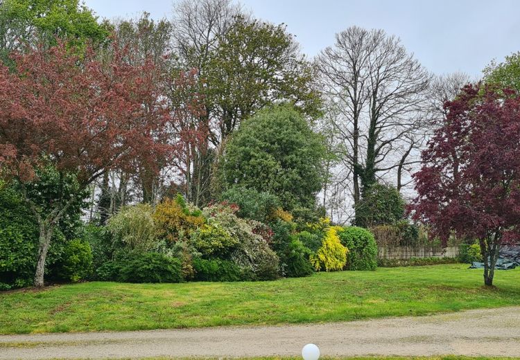 Des photos de la maison de pascale T.