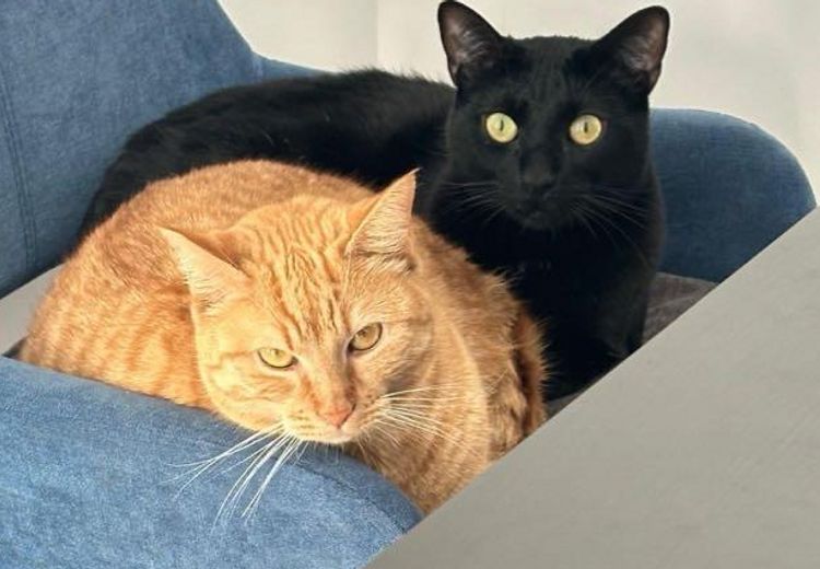 Des photos de la maison de Axel T.
