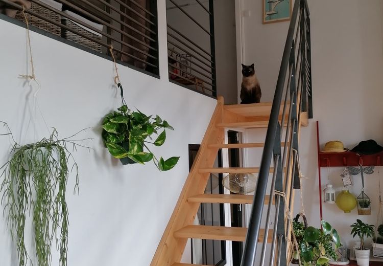 Des photos de la maison de Caroline R.