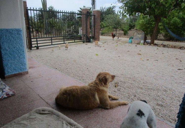 Pictures of Sharon's house