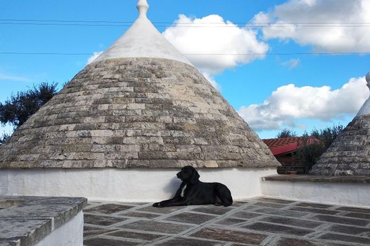 International House sitting Community Nomador International House sitting Community Nomador