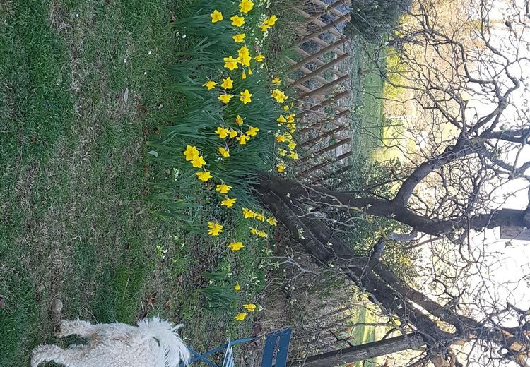 Pictures of Annick M.'s house