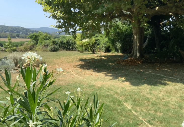 Pictures of patysha's house