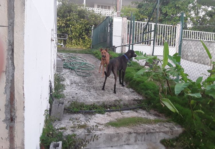 Pictures of Anne-Marie B.'s house