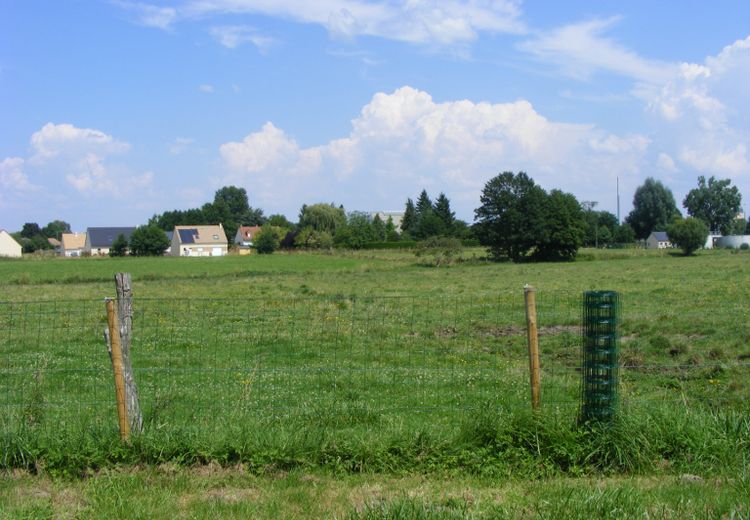 Pictures of Nathalie D.'s house
