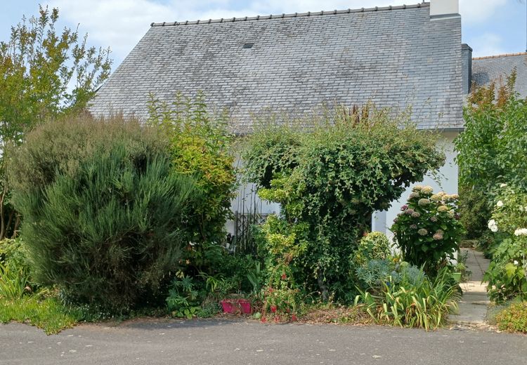 Pictures of Elisabeth's house