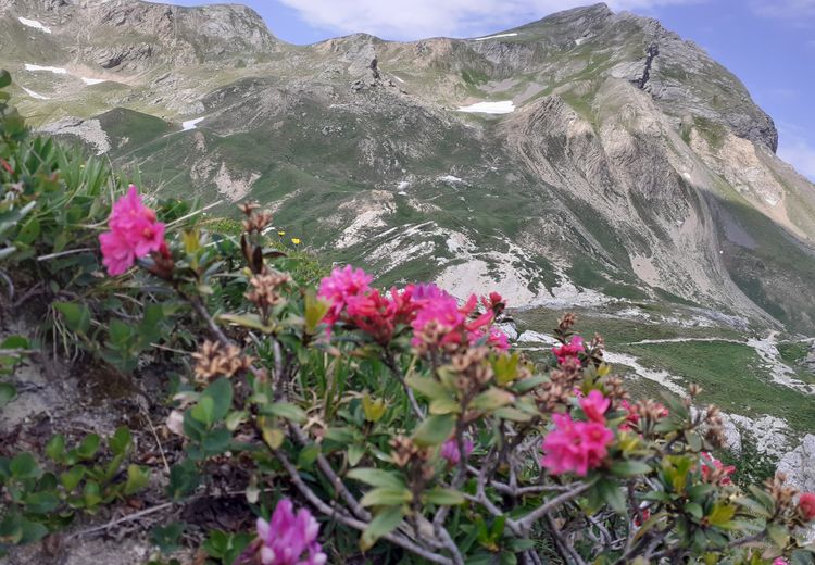 Fotos von Marie D. Haus