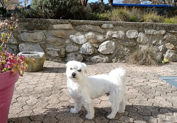 Des photos de la maison de Jean Yves et Fabienne D.