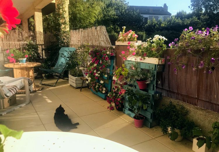 Pictures of Sev / Séverine's house