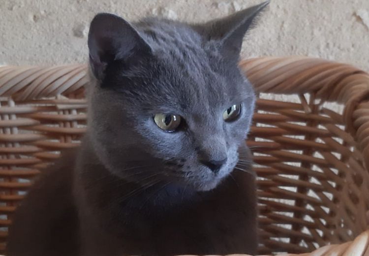 Des photos de la maison de Pascal et Lou