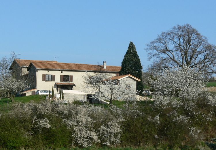 Des photos de la maison de Thérèse W.