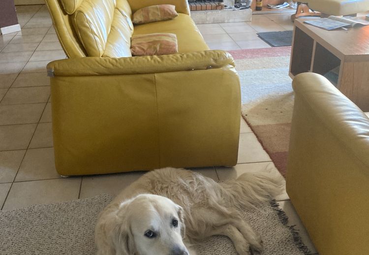 Pictures of Valérie's house