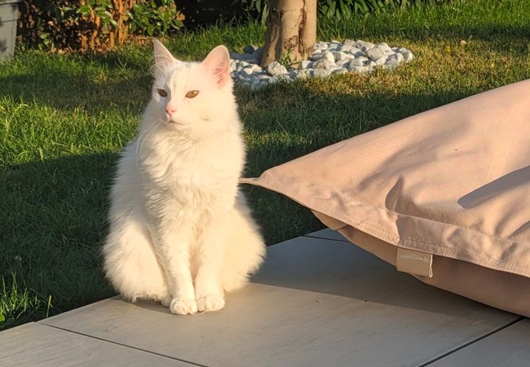 Pictures of Barbara's house