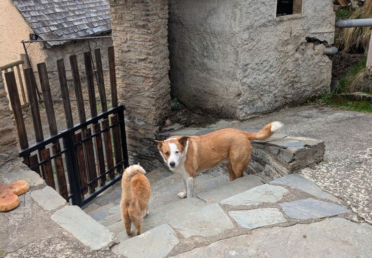 Des photos de la maison de Nadette 