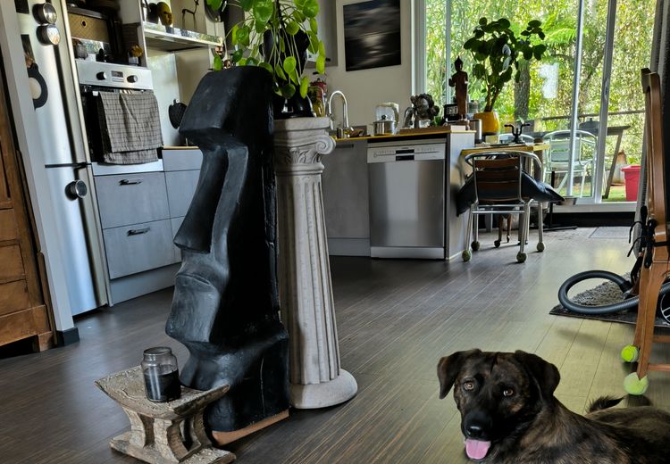 Pictures of Txistu's house
