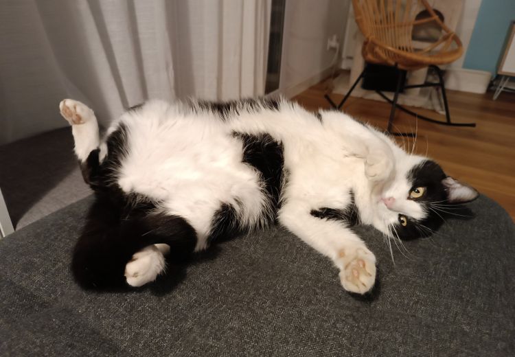 Fotos von Sabine D. Haus
