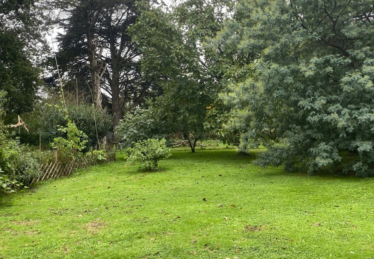 Pictures of Sidonie G.'s house