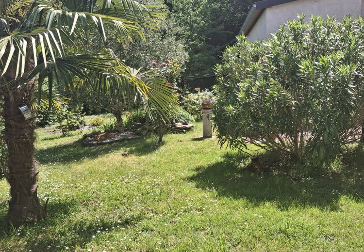 Pictures of Droniou's house