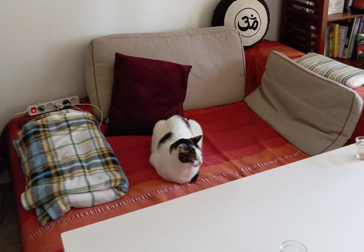 Des photos de la maison de Lucky