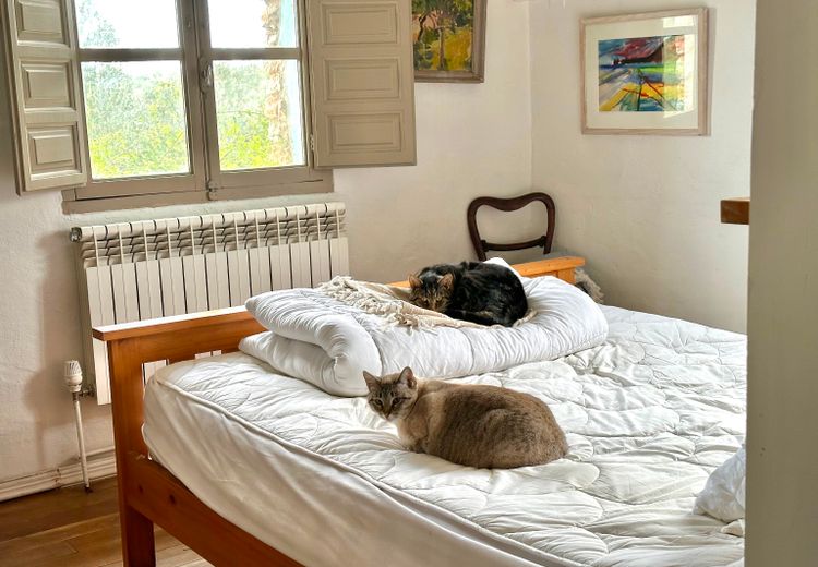 Fotos von Jon and Fiona Haus